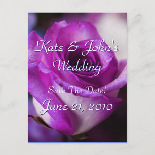 Purple Rose Announcement Postcard