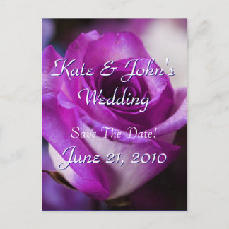 Purple Rose Announcement Postcard