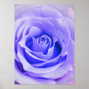 Purple Rose Background Customized Lavender Blank Poster