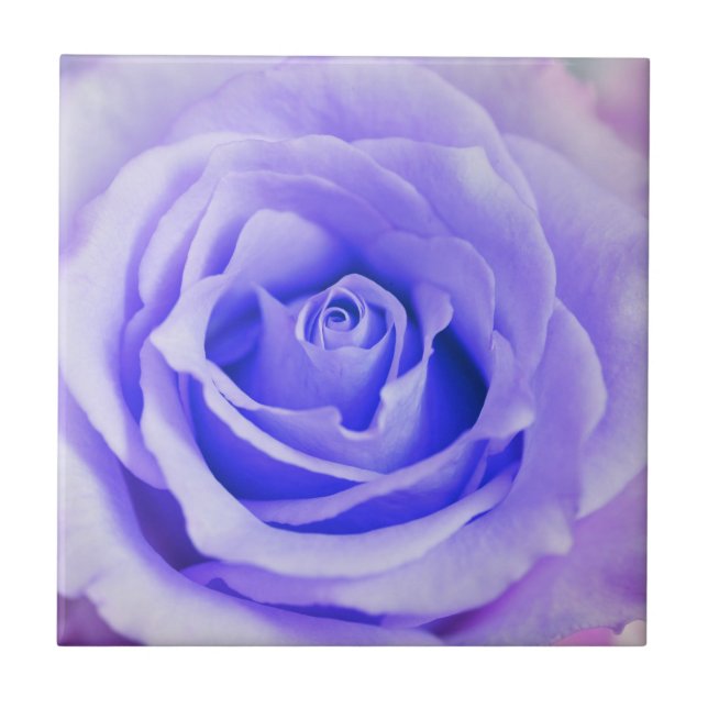 Purple Rose Background Customized Lavender Blank Tile (Front)