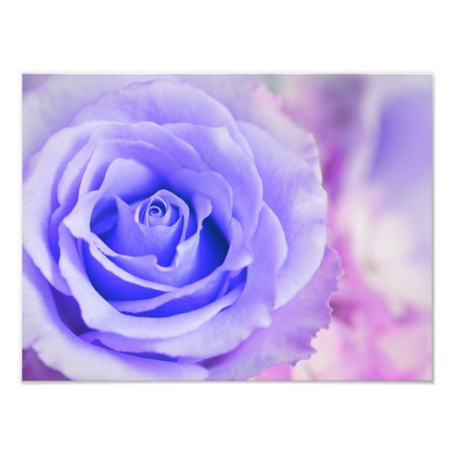 Purple Rose Background Customized Template Photo Print (Front)