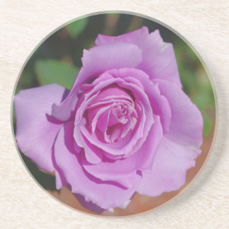 Purple Rose Coaster