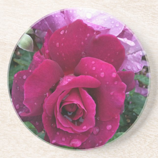 Purple Rose Coaster (Front)