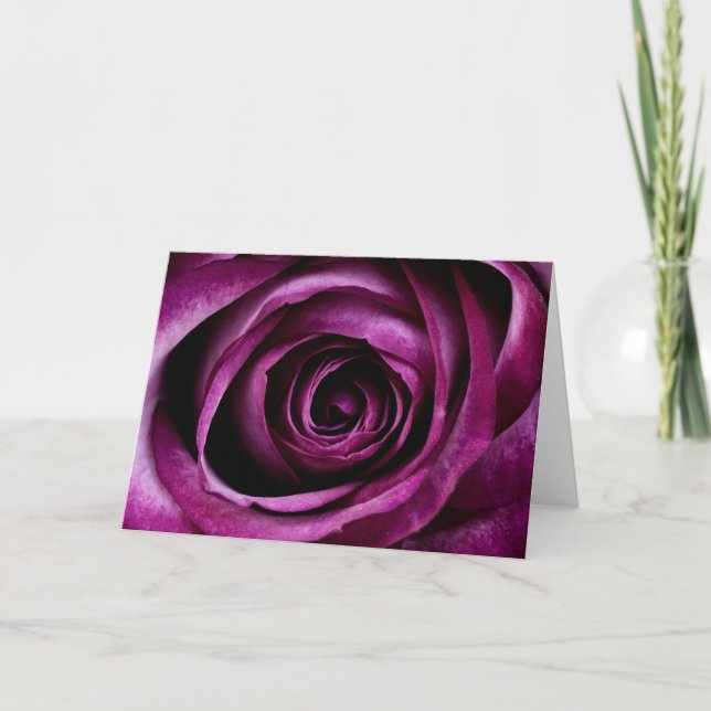 Purple Rose Flower Card (Front)