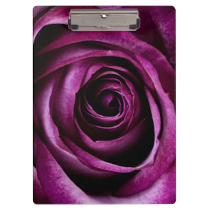 Purple Rose Flower Clipboard