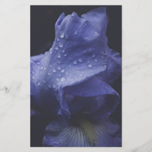 Purple Rose Flower Stationery