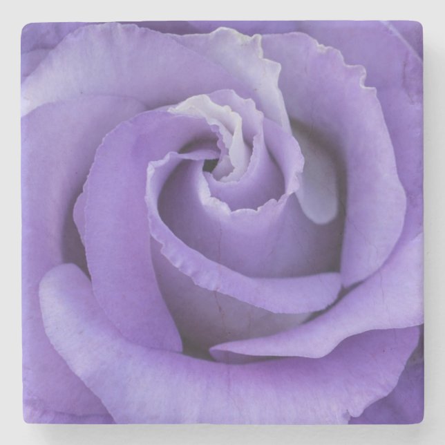 Purple Rose Flower Stone Coaster (Front)