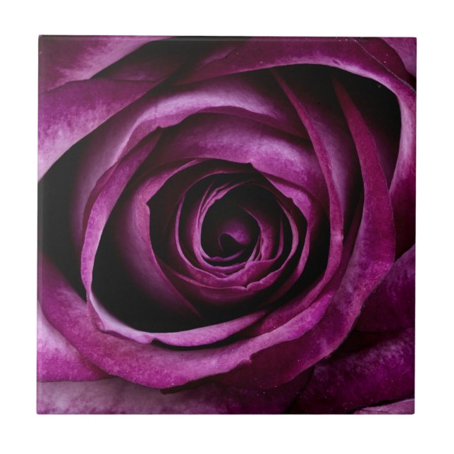 Purple Rose Flower Tile (Front)