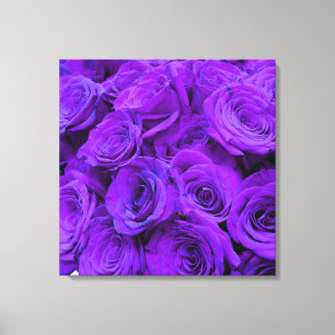 Purple Rose, vibrant purple blue flowers Canvas Print