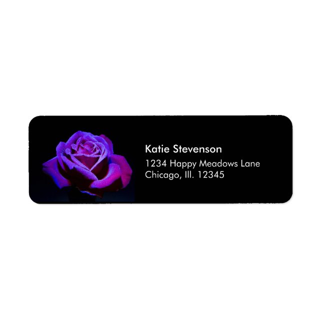 Purple Rose With Water Drops on Black Background (Front)