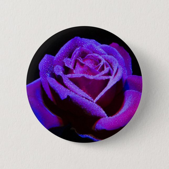 Purple Rose With Water Drops on Black Background 2 Inch Round Button (Front)