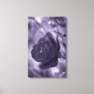 Purple Rose Wrapped Canvas Print