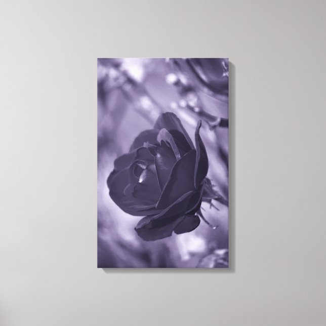 Purple Rose Wrapped Canvas Print (Front)