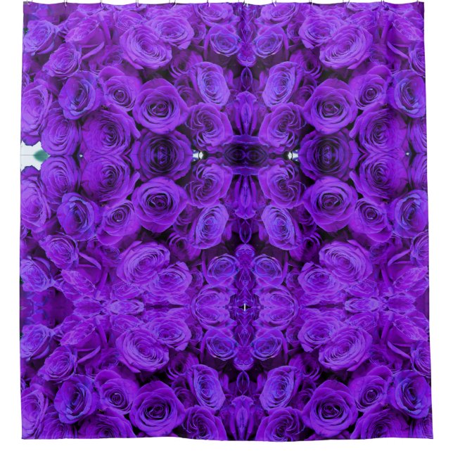 Purple  roses (Front)