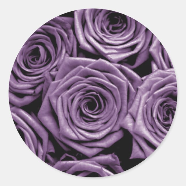 Purple Roses Classic Round Sticker (Front)