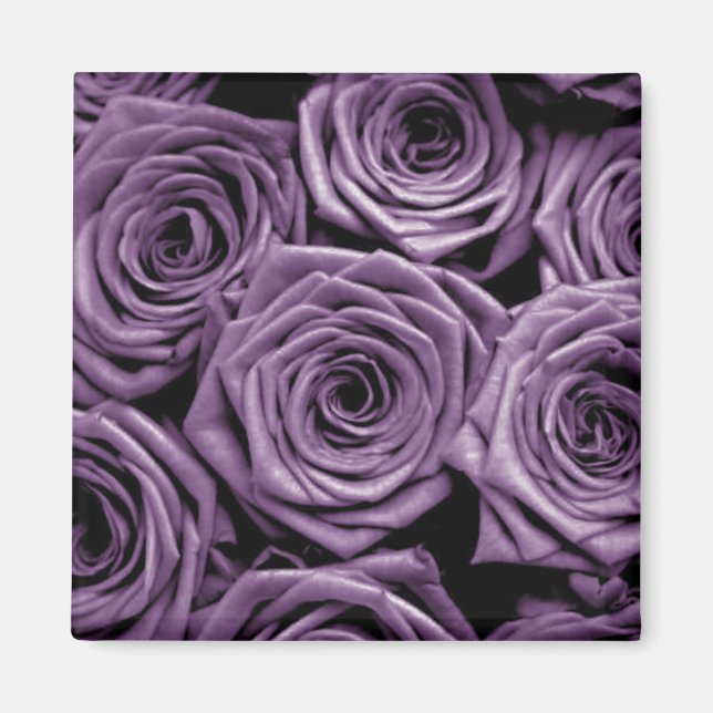 Purple Roses Magnet (Front)