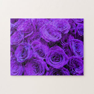 Purple roses - romantic floral photo jigsaw puzzle