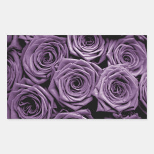 Purple Roses Sticker