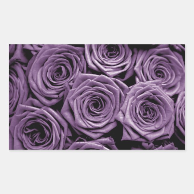 Purple Roses Sticker (Front)