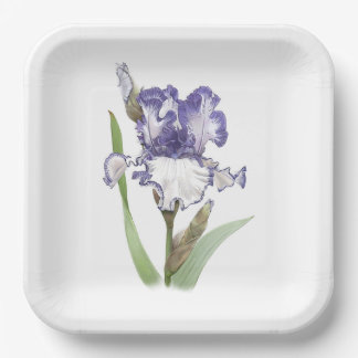 Purple Ruffled Iris Botanical Art Paper Plate