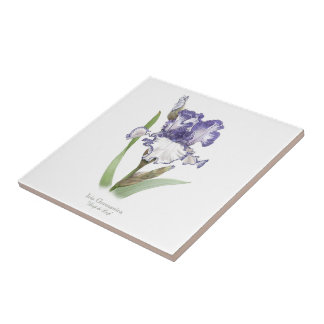 Purple Ruffled Iris Botanical Style Art Tile