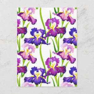 Purple Rustic Meadow Iris Flowers Watercolor Postcard