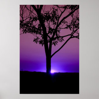 Purple Sky Poster
