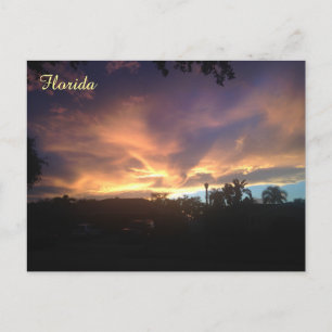 Purple Sky Sunset Postcard