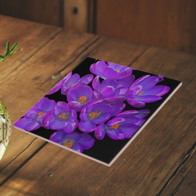 Purple Spring Crocuses Floral Tile (In Situ)