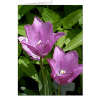 Purple Spring Flowers Customizable Borderless Card