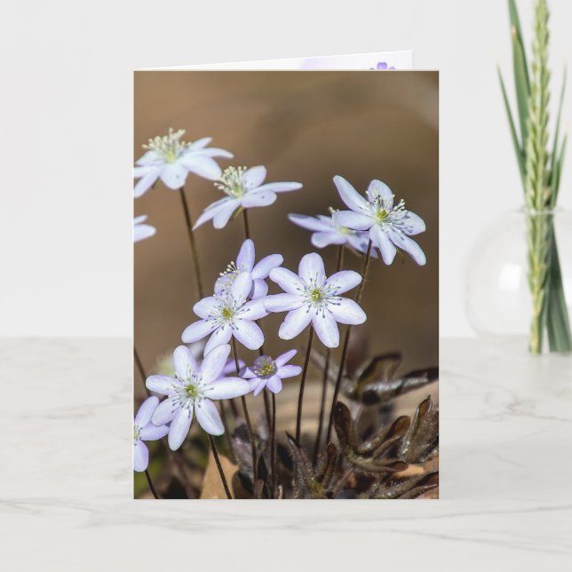 Purple Spring Wildflowers Thinking of You Card (Front)