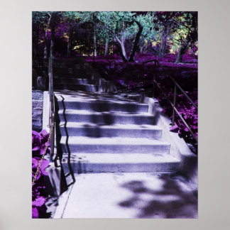 Purple Steps by the Purple Flowers Poster