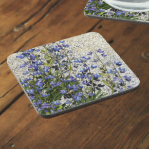 Purple Subalpine Lupine Floral Coaster