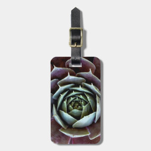 Purple Succulent Close-Up Luggage Tag
