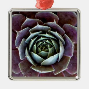 Purple Succulent Close-Up Metal Ornament