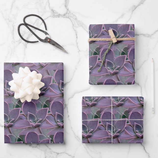 Purple Succulent Wrapping Paper Sheet (Front)