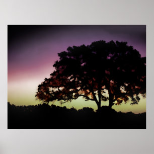 Purple Sunset and Oak Tree Silhouette Poster