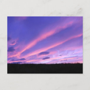 Purple Sunset Postcard