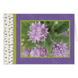 Purple Surprise