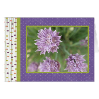 Purple Surprise
