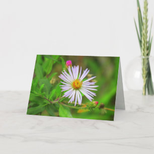 Purple Swamp Flower (5064) Card