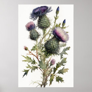 Purple Thistle Flower Art Print Poster
