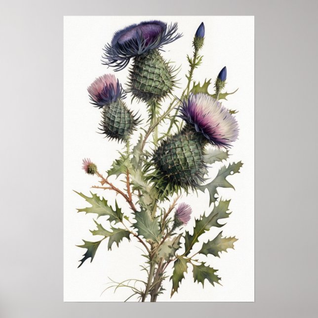 Purple Thistle Flower Art Print Poster (Front)