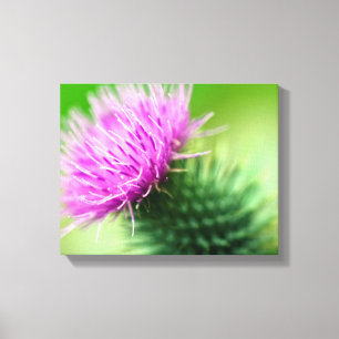 Purple thistle flower Canvas print