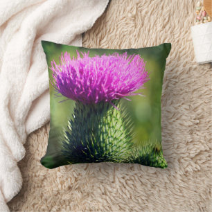 Purple Thistle Flower Close Up  Throw Pillow
