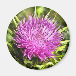 Purple Thistle Wildflower Floral Art Magnet