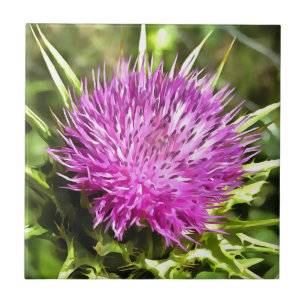 Purple Thistle Wildflower Floral Art Tile