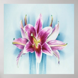 Purple Tiger Lilly Poster
