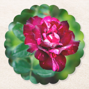 Purple Tiger Rose Paper Coaster