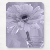 Purple Tinted Daisy
